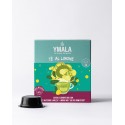 MIO YMALA  TE\' AL LIMONE 6X16