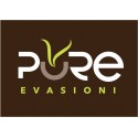 PURE EVASIONI SUPER GINSENG BENESSERE 4 X 50